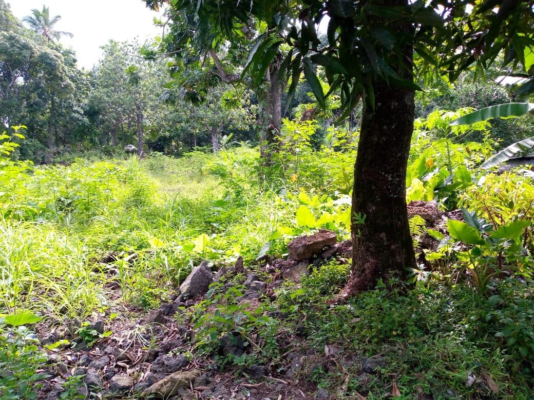 À vendre - Terrain constructible 500 m² situé à M'vouni hambekatsa (269)